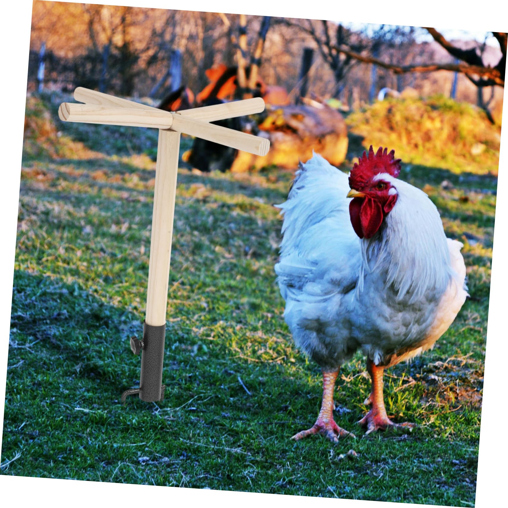 Holz Vogelsitzstange mit Spielzeug, Sitzstange für Vögel