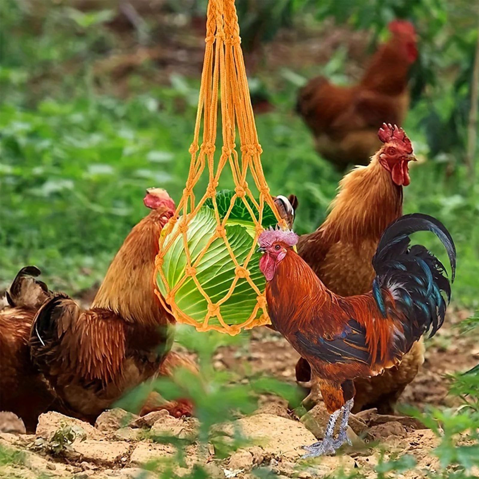 Borsa Porta Verdure Per Pollai, Mangiatoia A Rete Con Gancio Per Galline E Anatre, In Nylon Resistente (Nero, 61 Cm) - 5