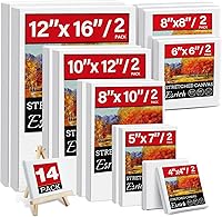 ESRICH 14-Pack Pre-Stretched Primed Canvas Panels - Multi Sizes 12x16, 10x12, 8x10, 5x7, 8x8, 6x6, 4x4 (2 Each) for Oil Acrylic Artists Beginners