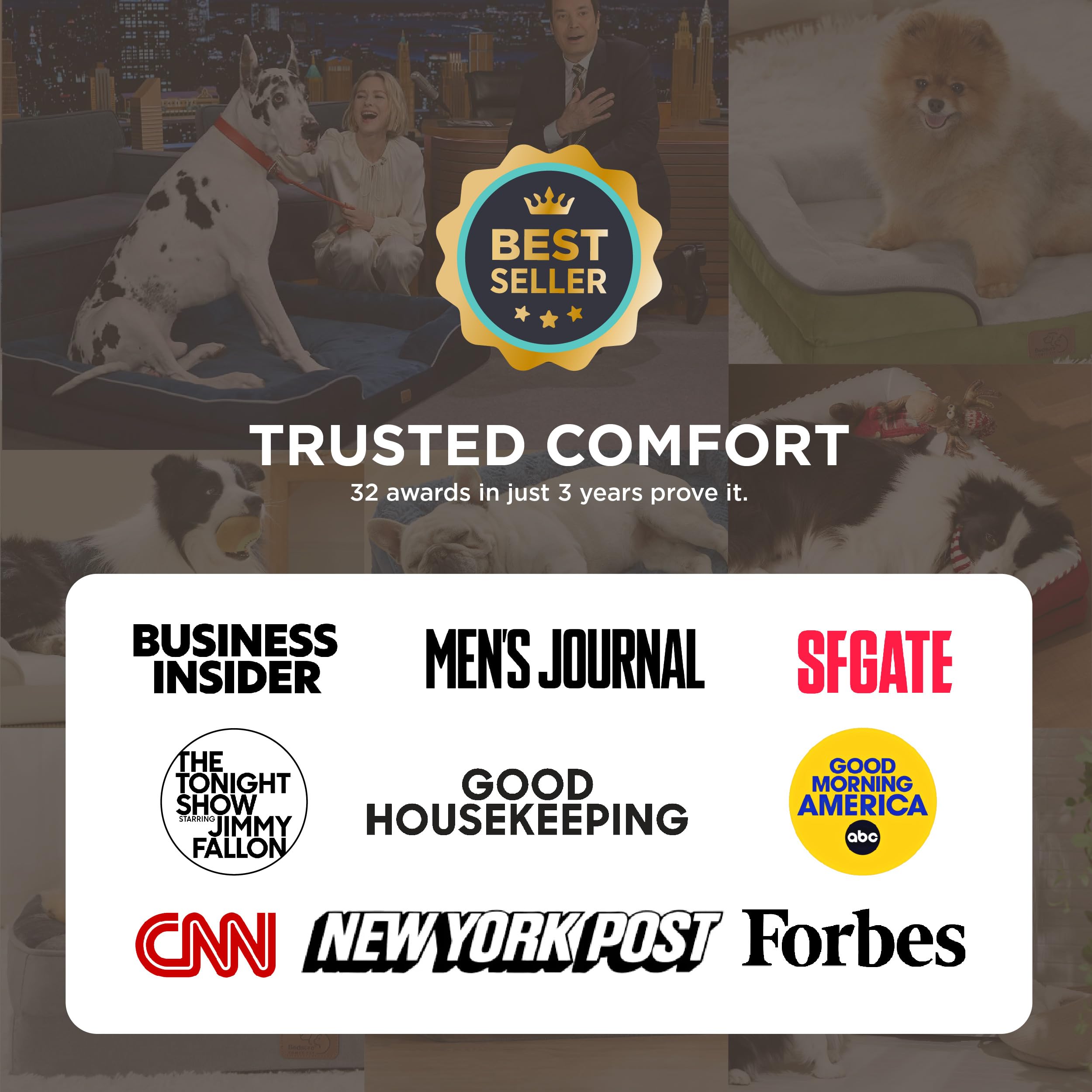 Bedsure Letto per Cani Grande 89x63x18cm - Divano per Cani Taglia Gande in Uovo Foam, Colore Grigio, Cuscino per Cani Sfoderabile e Lavabile