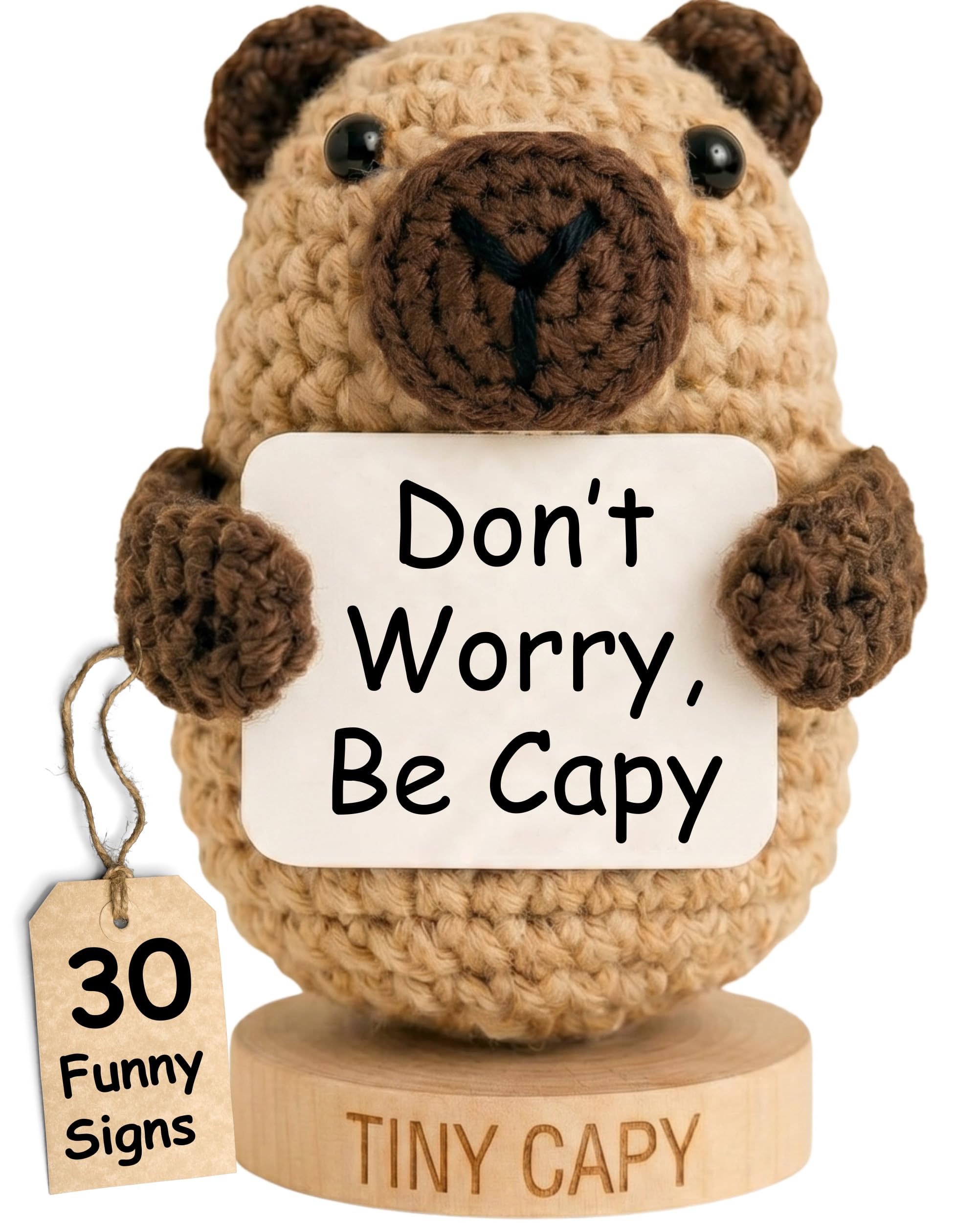 Positive Capybara Crochet with 30 Funny Affirmation Cards - Emotional Support Friendship Gifts for Women Men, Teens or Adults, Best Friend, for Birthday, Cheer Up | Affirmation Cards for Her Him