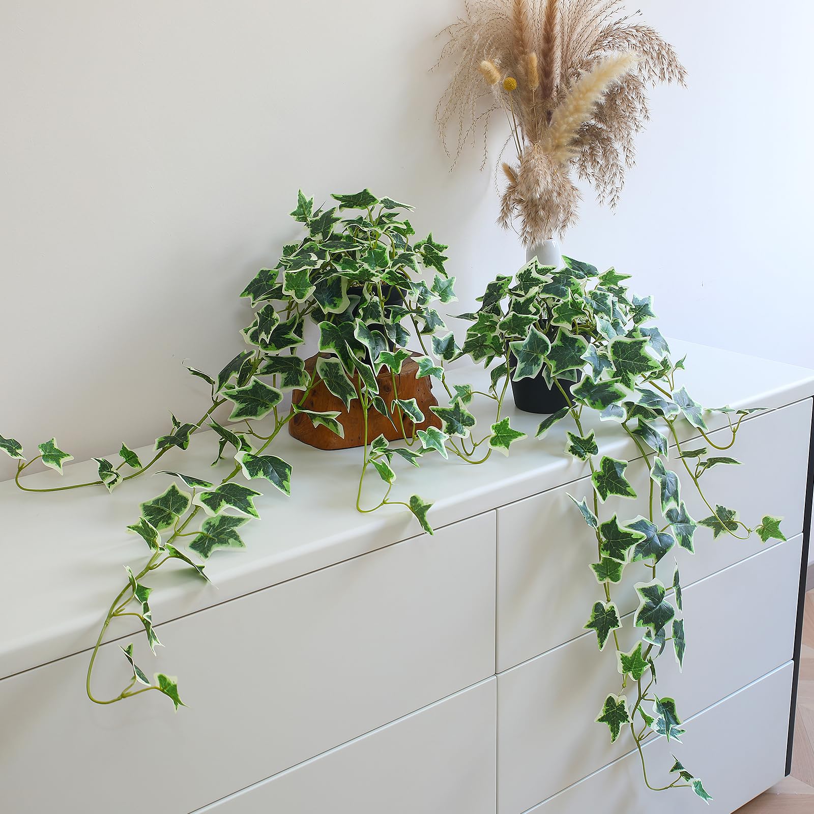 alyptus Fake English Ivy