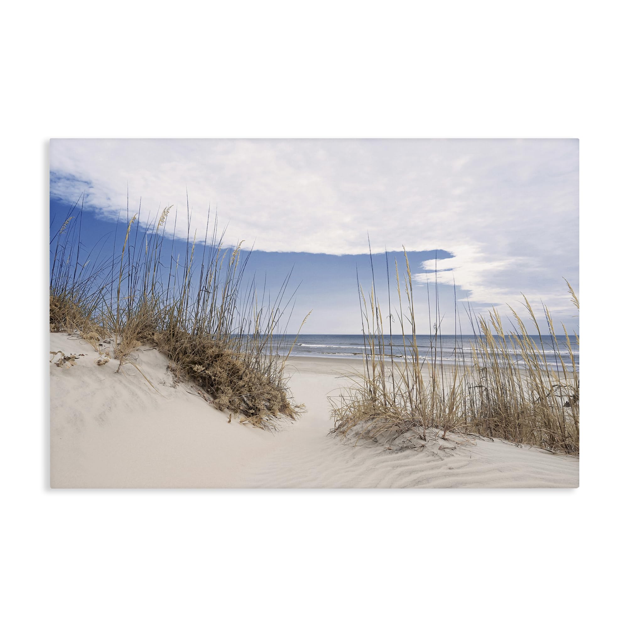 Stupell Industries 'Sea Oats Along Sandy Dunes', Canvas Art, 36 x 24 Inches, Easy to Hang and Sturdy, Made in USA, by Natalie Carpentieri