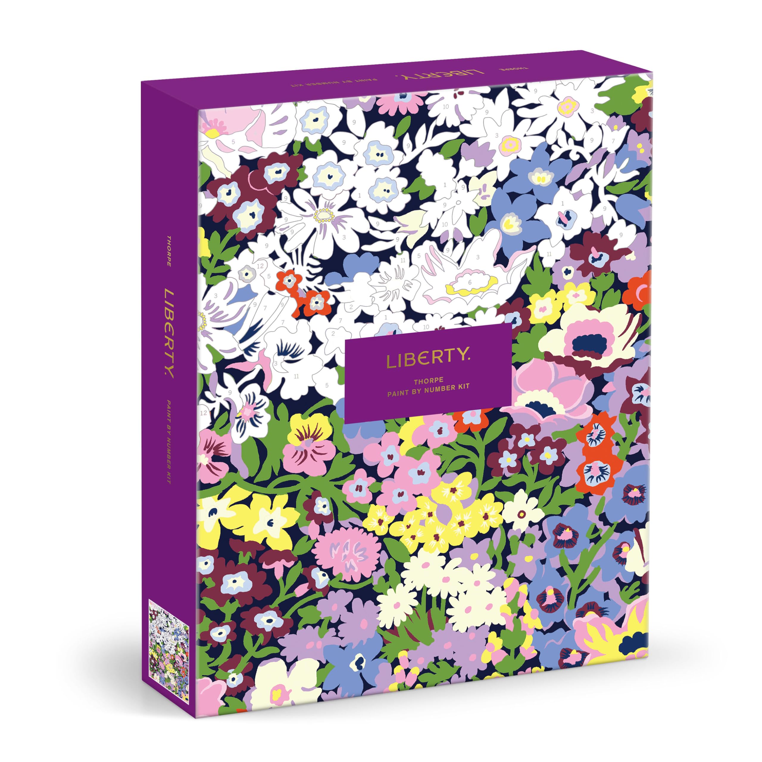 Amazon.com: Galison Liberty Thorpe – DIY 9 x 12 Paint by Number
