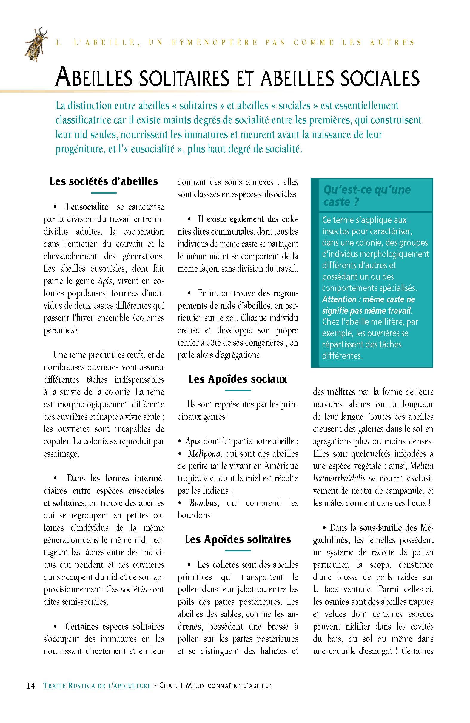 Le traité Rustica de l'apiculture version luxe