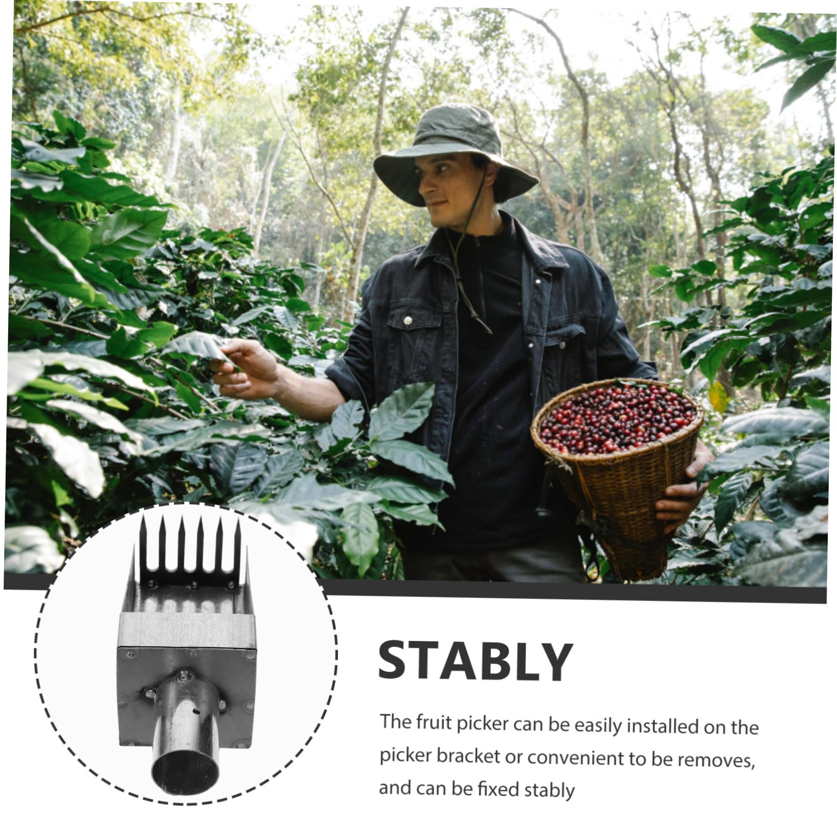 Supvox 5stücke Fruit Picker Für Müheloses Ernten Wie Äpfeln Und Pfirsichen Leiter Tragbar Und Handlich Für Gartenarbeiten