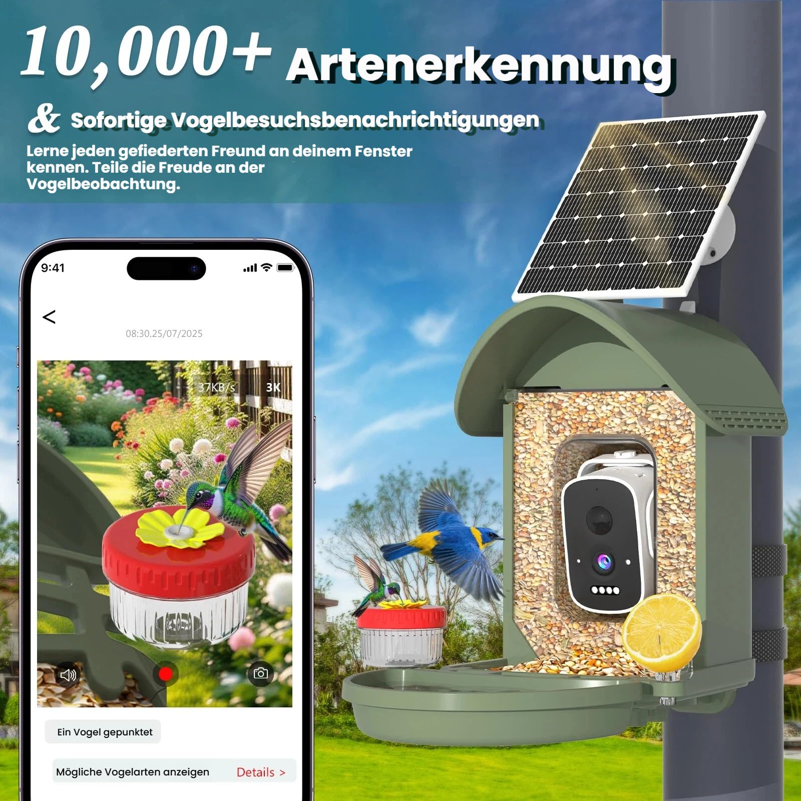 Vogelhaus mit Kamera, 3K Smart Vogelhäuschen mit KI-Vogelerkennung & Vogeltränke, Solarbetrieben Vogelbeobachtung Kamera mit Edelstahlkabel & Futter-Schutznetz, Outdoor Garten Geschenk