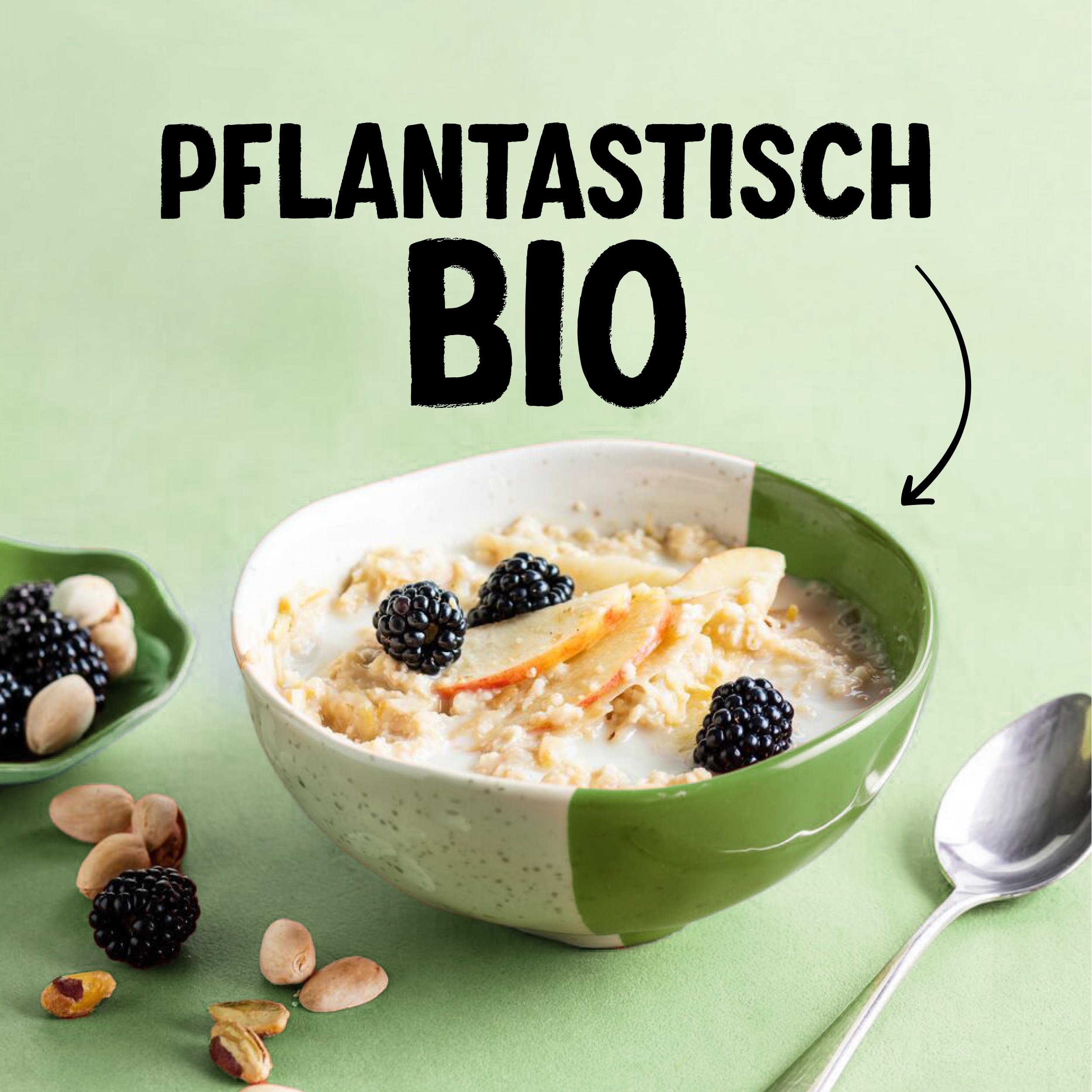 Alpro Bio Kokos-Mandeldrink – 8 x 1 l