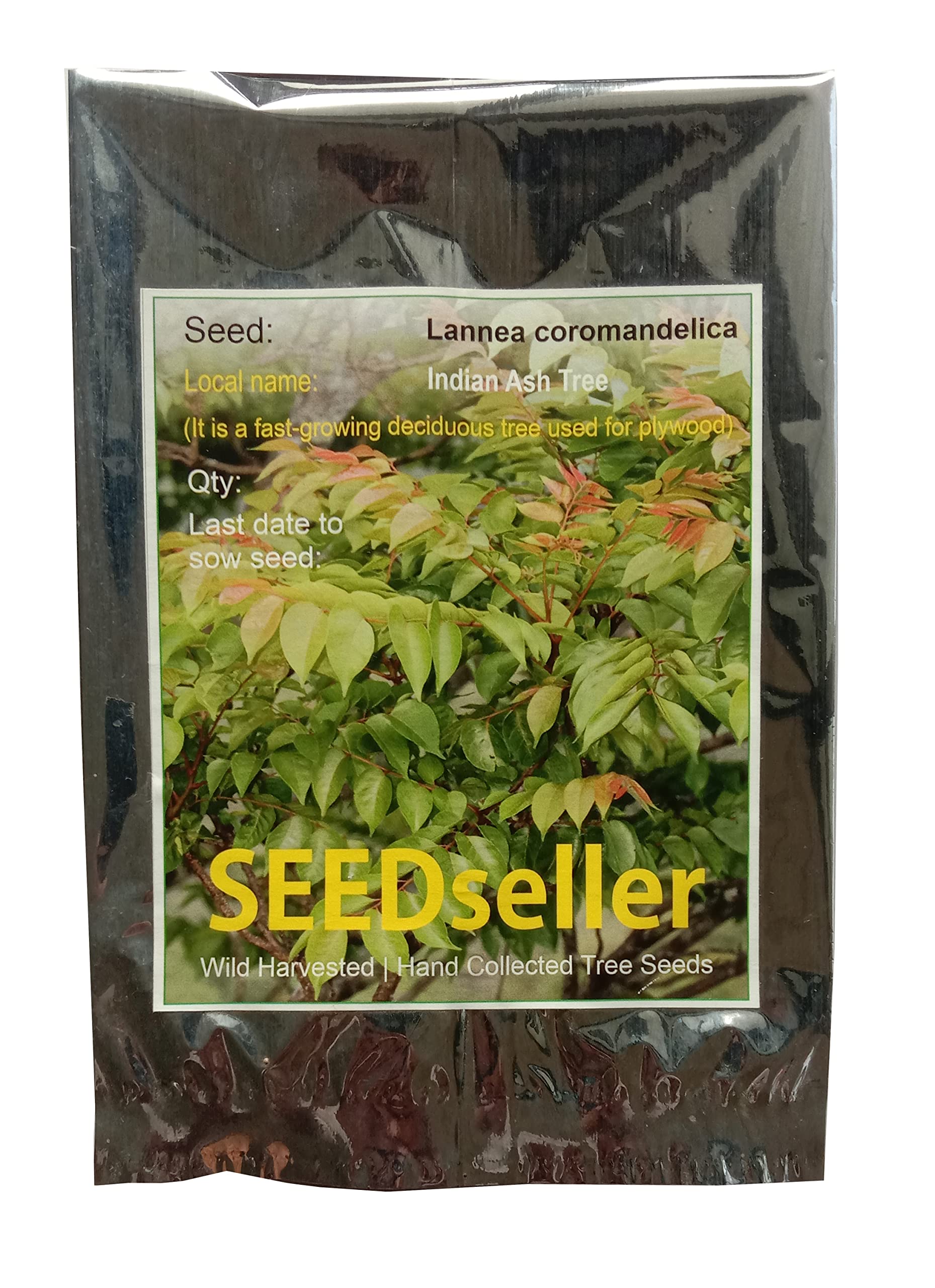 SEEDseller Lannea coromandelica (Used in plywoods) Indian Ash Tree Seeds for Growing - 15 Seeds (B07QCK3NQD) Amazon Price History, Amazon Price Tracker