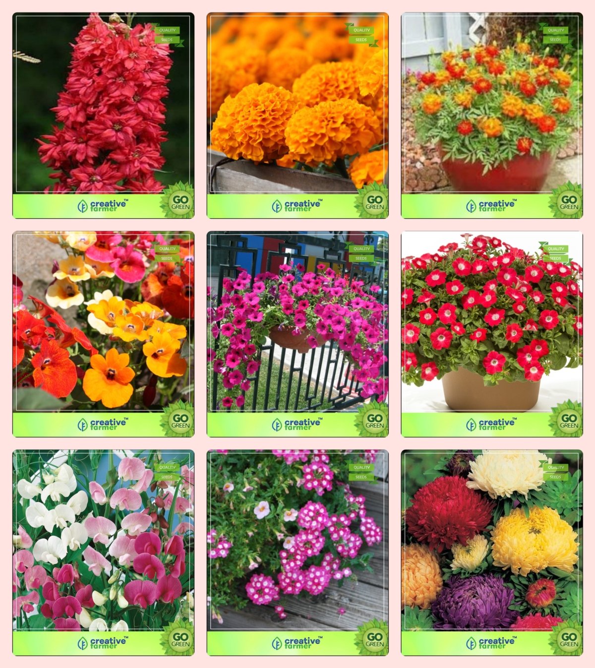 Creative Farmer Flower Seeds: Seed For Flowering Spring/Summer and Winter and Winter/Summer Combo Larkspur-Rose Smile, Marigold-Hawaii, Marigold-Nana Bonita, Nemesia, Petunia-Rose and Others -3 Packs (B076M5G8RW) Amazon Price History, Amazon Price Tracker