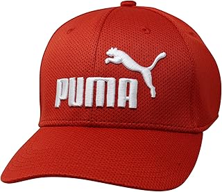 PUMA Unisex-Adult Evercat Mesh Stretch Fit Cap