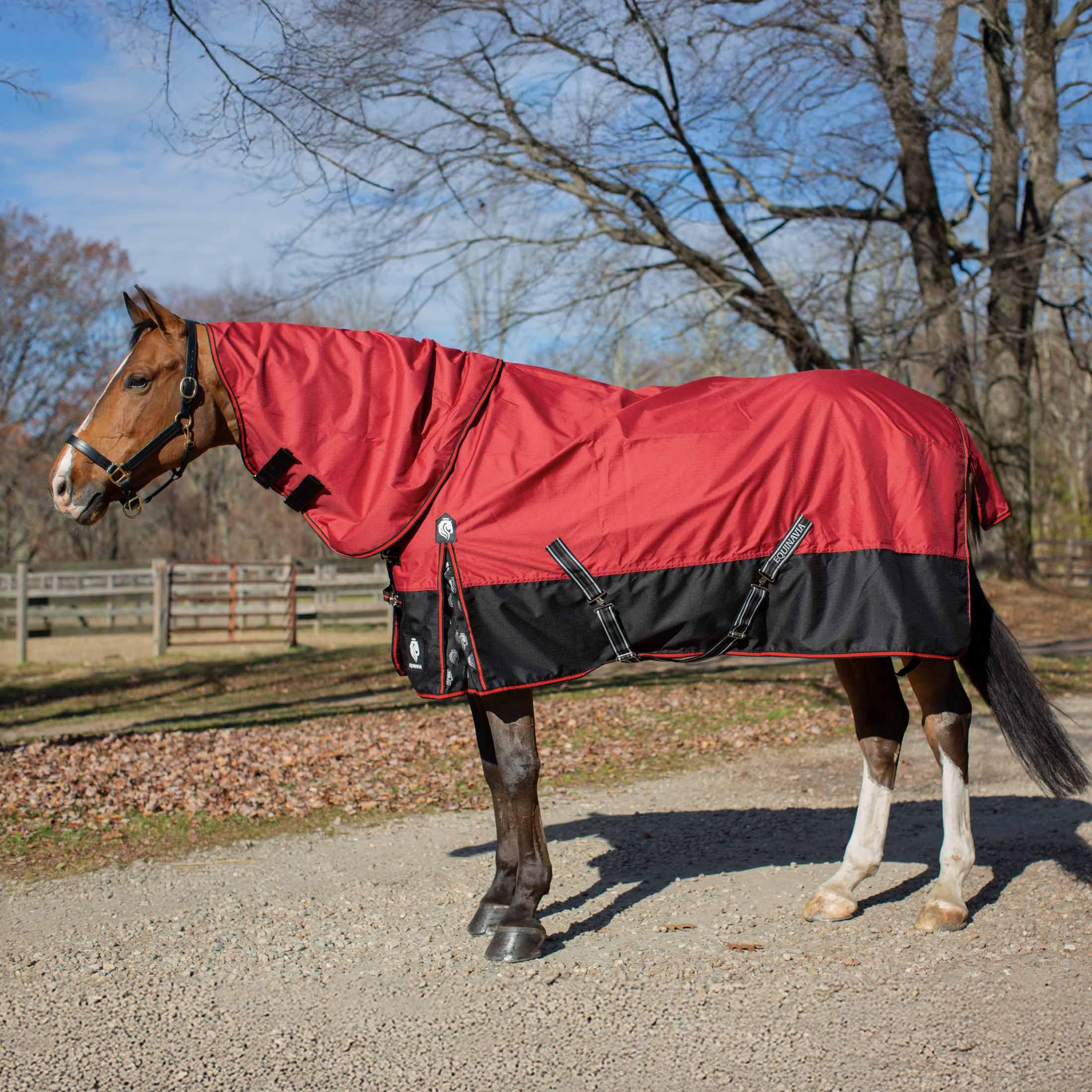 Amazon.com : Equinavia Norse 300g Heavy Weight Horse Blanket