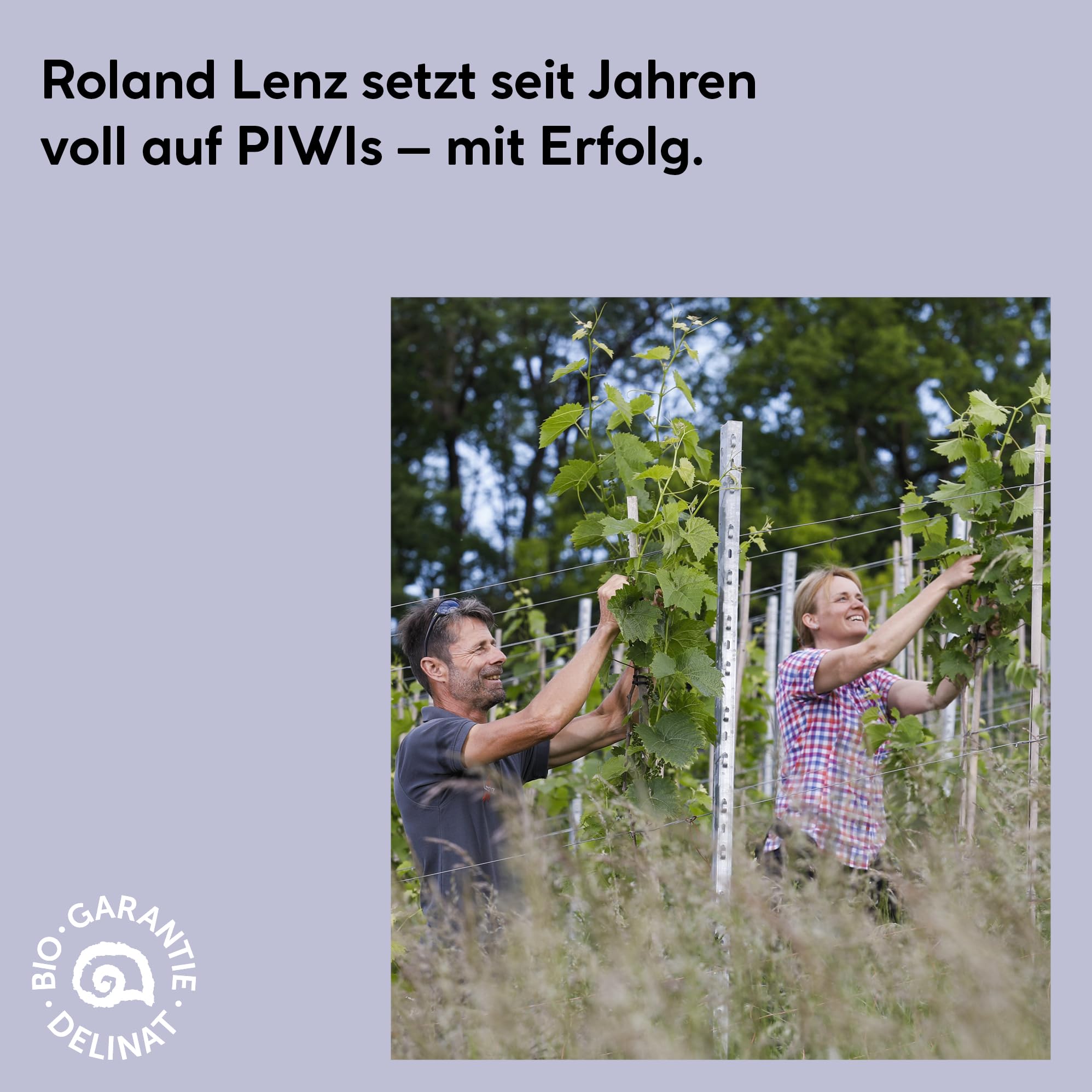 DELINAT KOO KUU Edelweiss 2024 – Schweizer Bio-Weißwein lieblich | Vegane Cuvée aus Souvignier Gris und Solaris - fruchtig & säurearmer premium Weißwein aus der Ostschweiz 6 x 0,75l