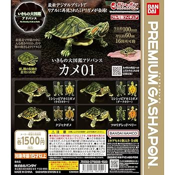 Amazon | 期間限定値下即落 いきもの大図鑑アドバンス カメ01