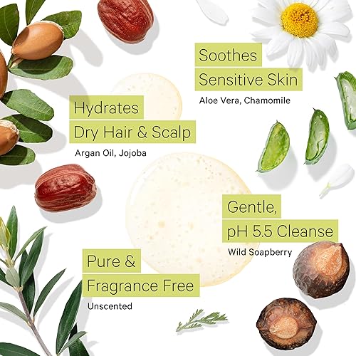 Miniatura 4 de Tree to Tub Champú sin fragancia y acondicionador de aceite de argán para cabello seco o graso y cuero cabelludo sensible. Champú hidratante suave