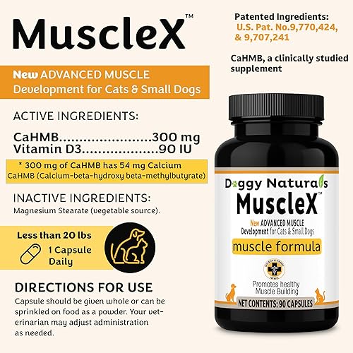 Miniatura 2 de Fórmula muscular canina para gatos y perros pequeños con 300 mg de CaHMB y vitamina D3  Fórmula natural de construcción muscular  Ayuda a reducir la