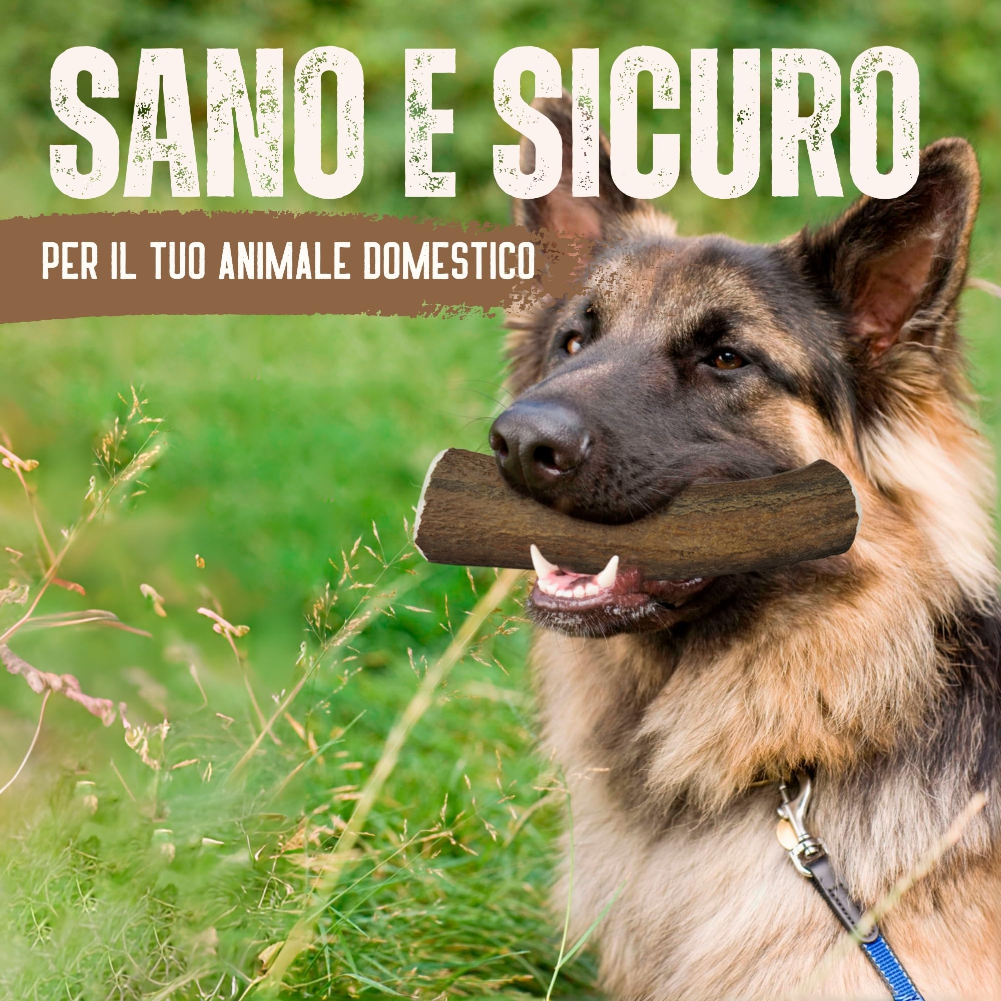 Corno di Cervo Naturale per Cani | Masticatore Dentale Duraturo | Origine Naturale, Senza Additivi | Kira&Gara® (XL - 200-240g, Pack de 1)