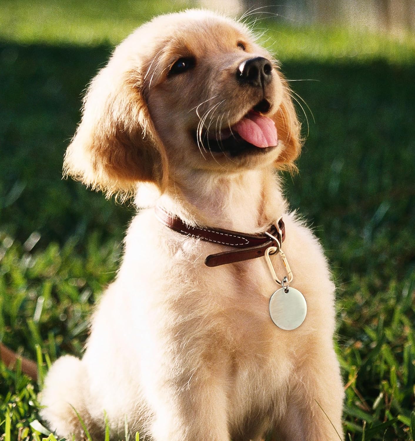 6Pcs Gold Carabiner Clip, 1.5 Inch Small Gold Purse Clip for Purse Strap Keys Handbag (Warning: Not for Human Suspension or Weight Bearing) - Image 6