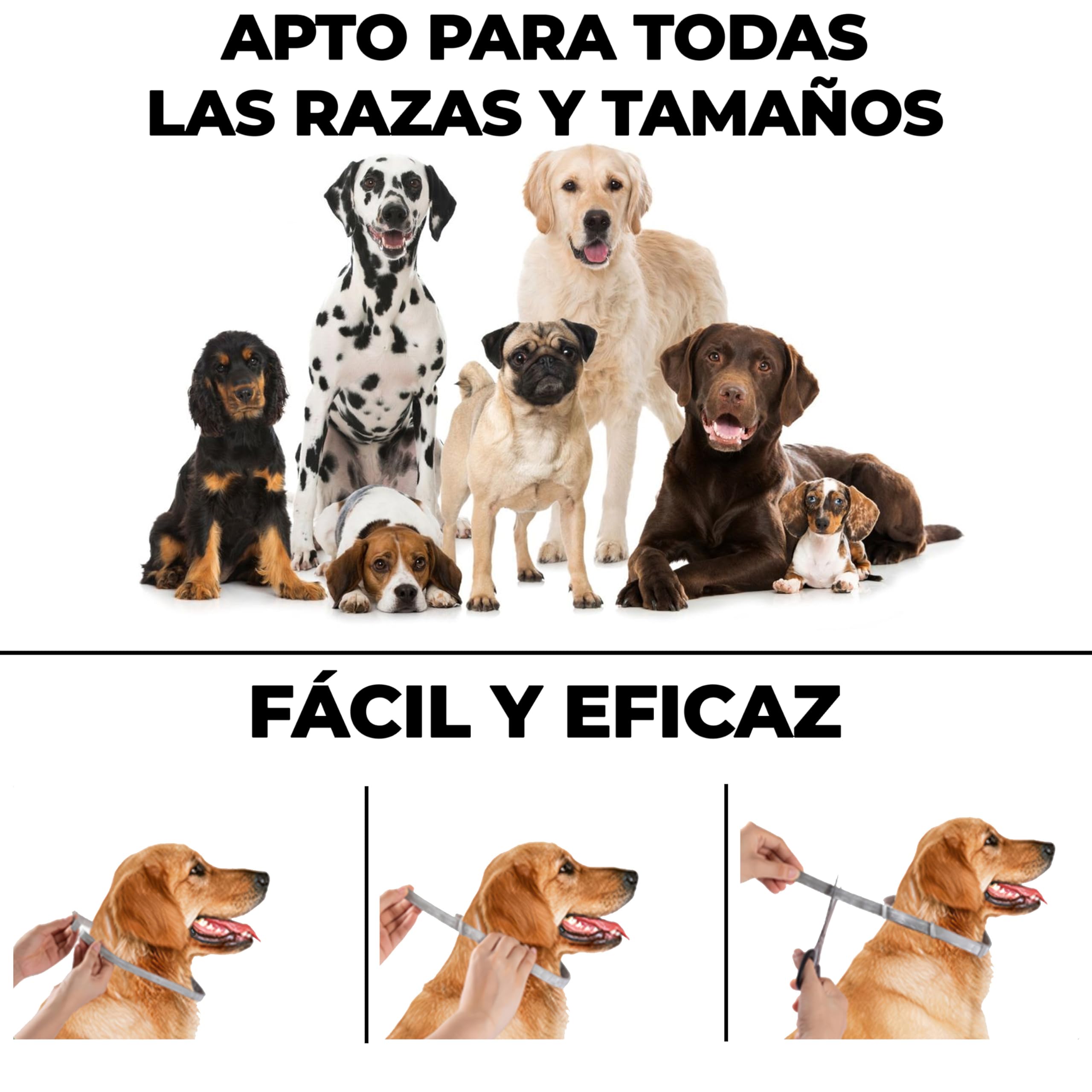 Monked | Collar antipulgas y antigarrapatas para Perros Natural sin químicos | hasta 8 Meses de protección | Ajustable para Todos los tamaños | Protección Duradera contra garrapatas (Grün)