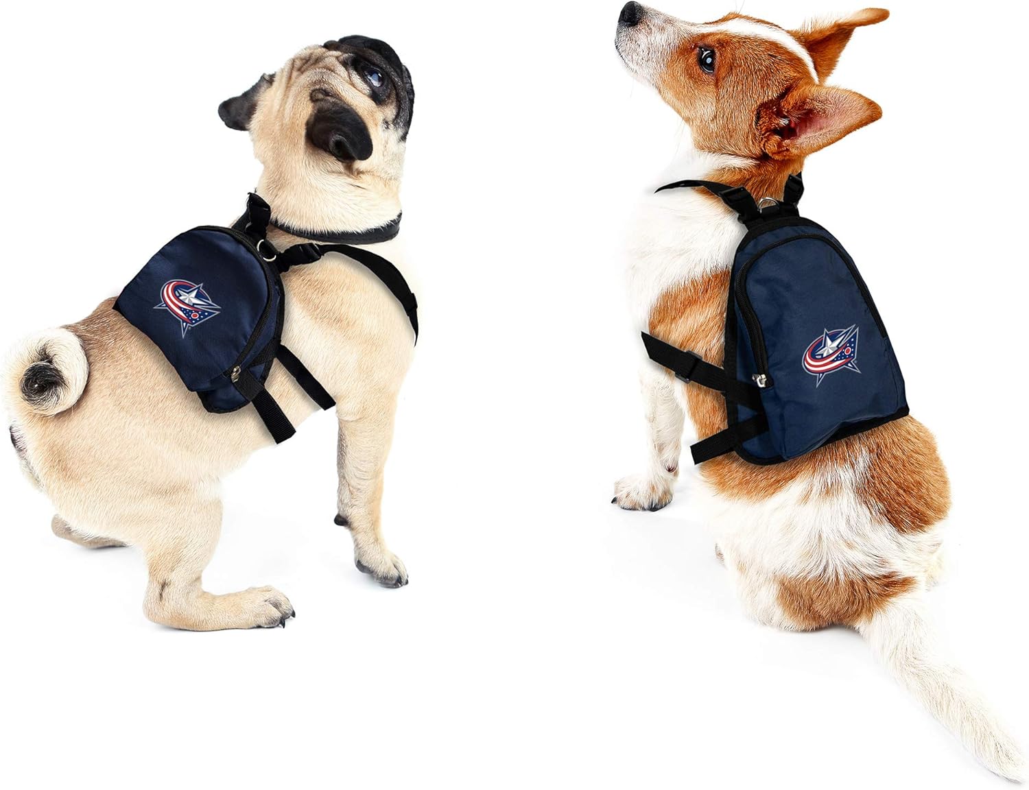 Littlearth NHL Pet Mini Backpack - Pet Apparel - Pet Accessories - for Dogs and Cats, Team Color