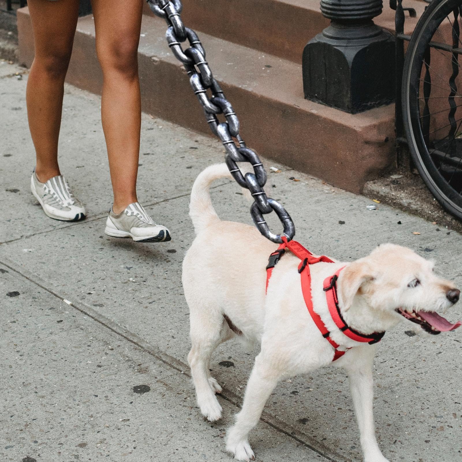 Catene per cani Ammortizzanti Addestramento Guinzaglio Cucciolo Linea