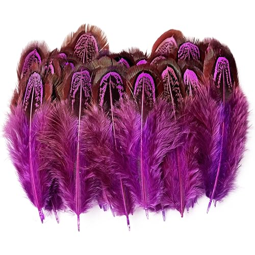 50 pcs Natural Pheasant Plumage Feathers 2-3 Inches Plumage Feathers for Sewing Crafts Clothing Decorating Accessories -Dark Pink
