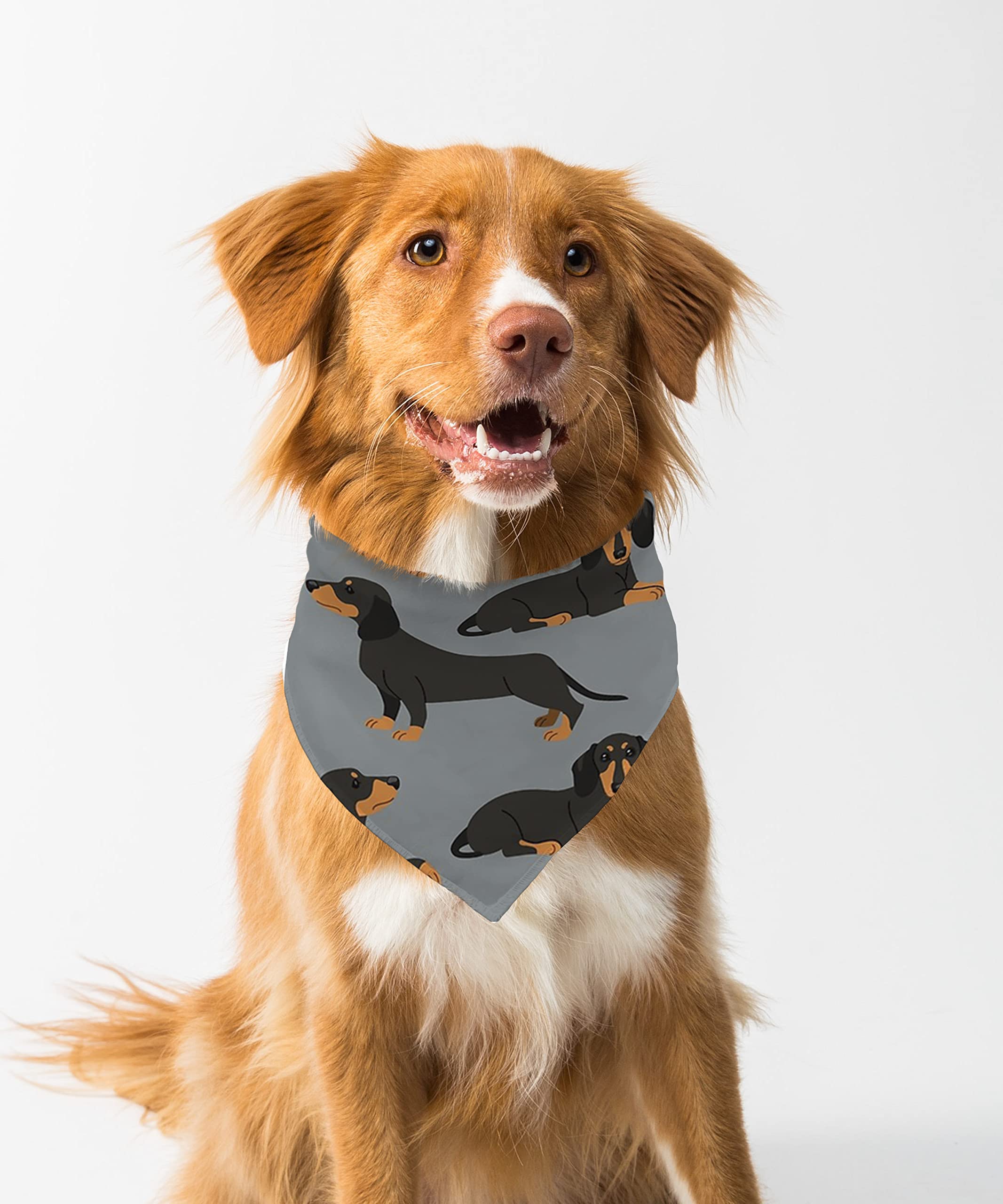 Farnup Adjustable & Comfortable Dog Bandana,Dachshund Pattern, Graphic Printed Bandana for Dogs | Dog Scarf, Accessory | Gifts for Dogs-S/M (B0BVHC2789) Amazon Price History, Amazon Price Tracker