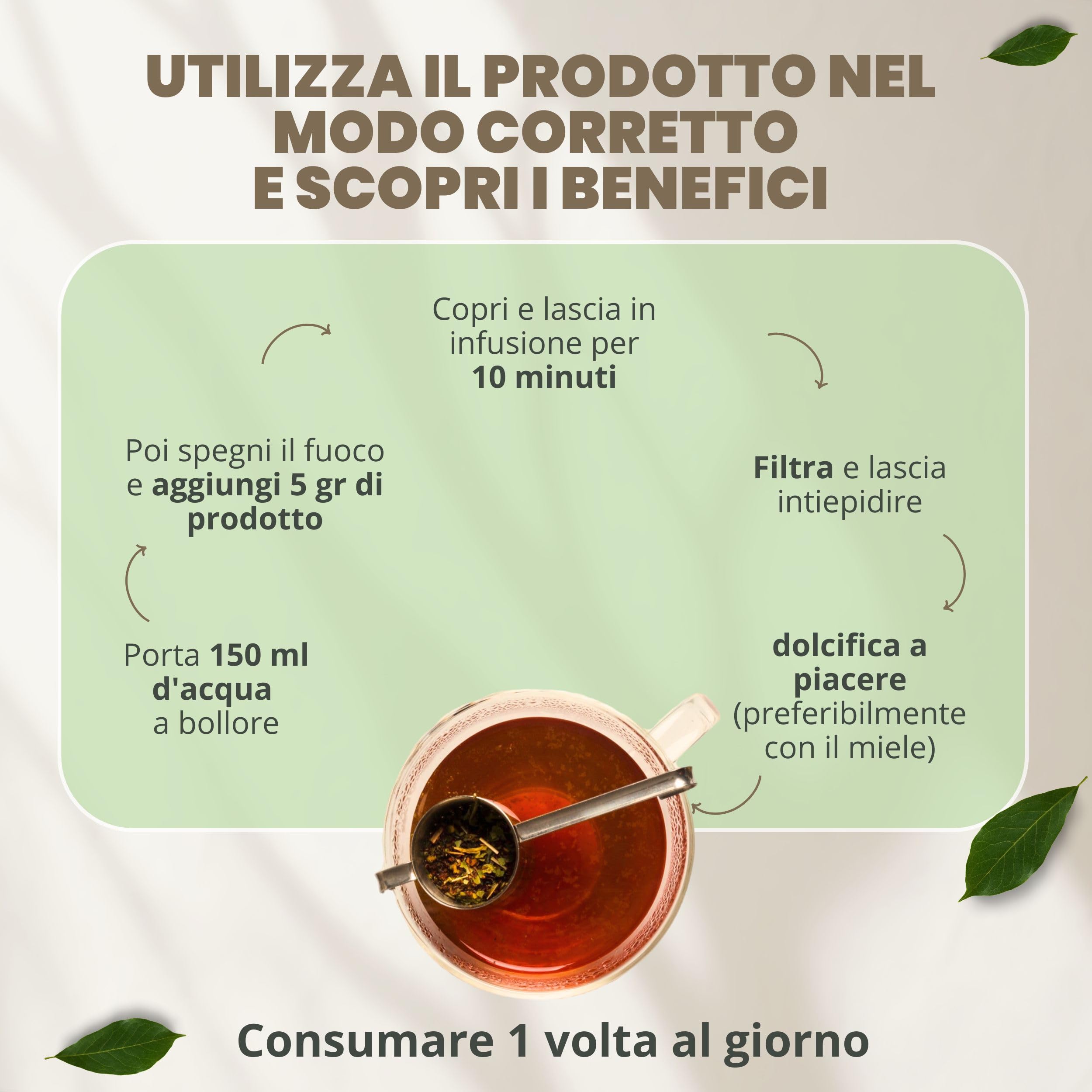PATRIZIO BRESEGHELLO - Sommità di Equiseto per Depurazione del Corpo 1 kg - Tisana Drenante e Diuretica - Equiseto Naturale Senza Aromi Aggiunti