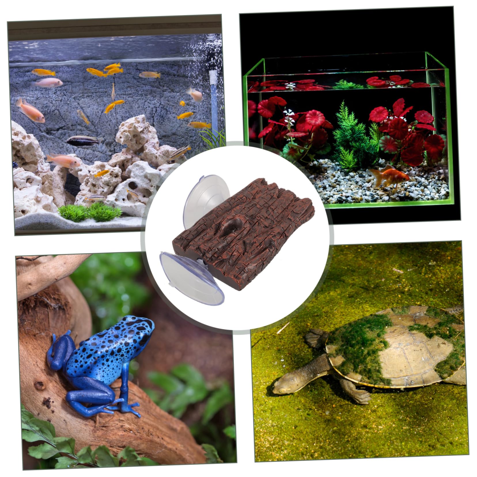 VANZACK 5pezzi Piattaforma Galleggiante per Tartarughe con Ventose Isola per Soleggiamento e Riposo Decorazione per Acquario e Terrario Adatta per Tartarughe di Piccole