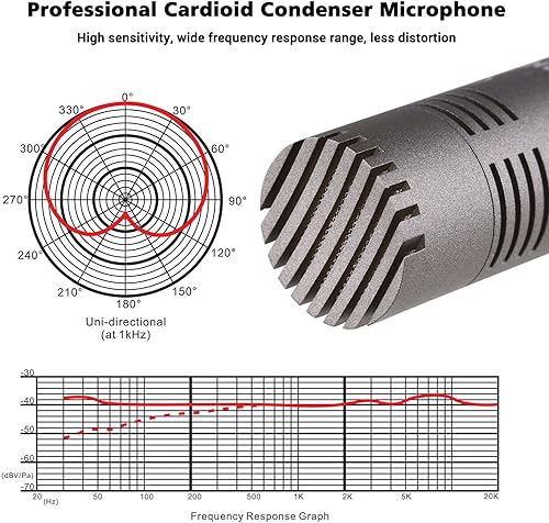 Miniatura 3 de TAKSTAR Micrófono de condensador con parabrisas, micrófono cardioide profesional, micrófono de grabación de diafragma chapado en oro XLR para