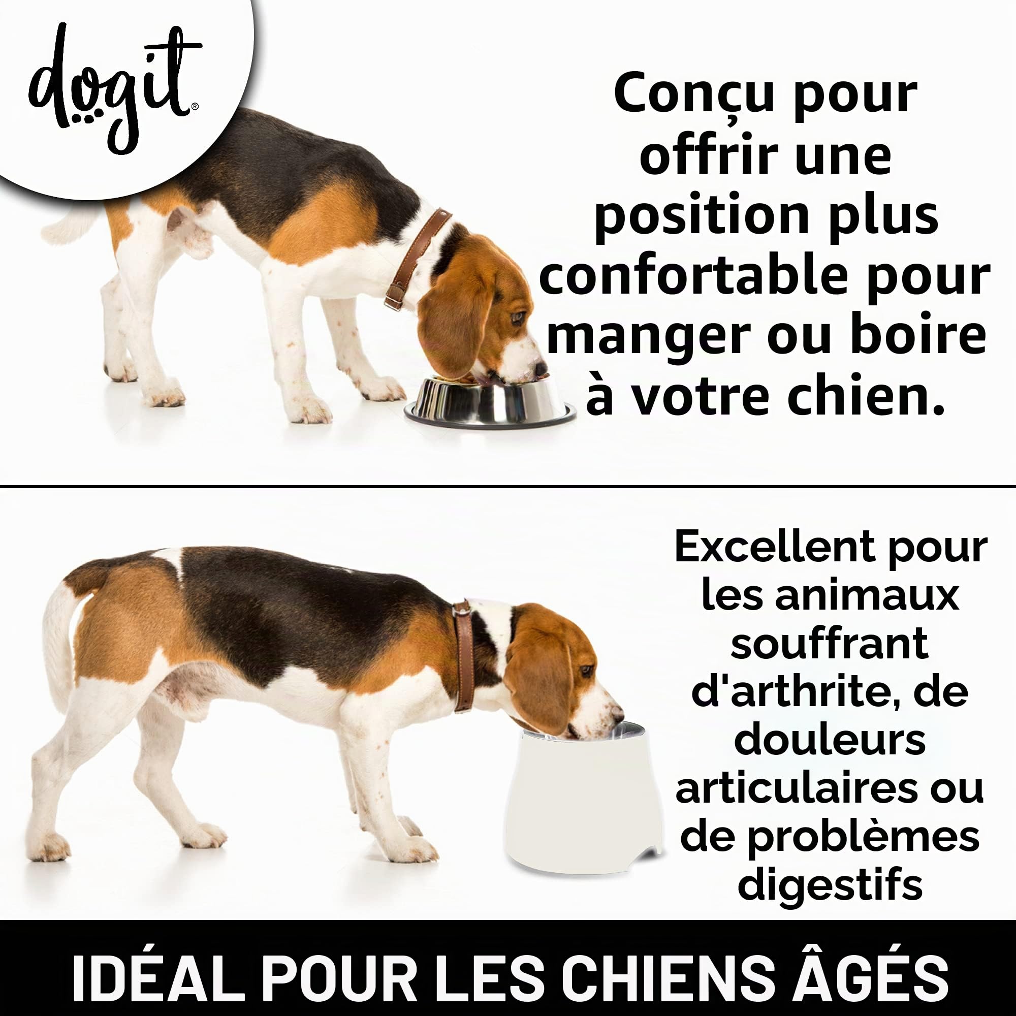 Dogit Gamelle 2 en 1 surélevée pour Chien