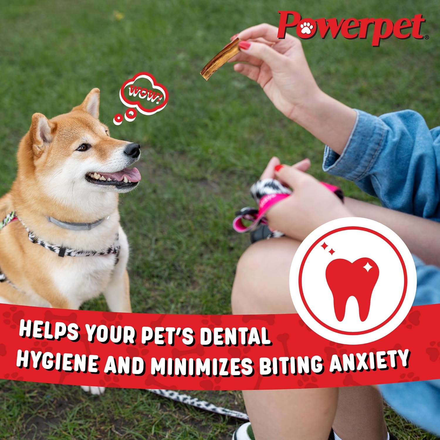 Natural Dog Chew - Powerpet: Jumbo Bully Sticks - 25pk - Odorless - Helps Improve Dental Hygiene - 100% Natural & Highly Digestible - Helps Keep Your Dog Healthy & Happy
