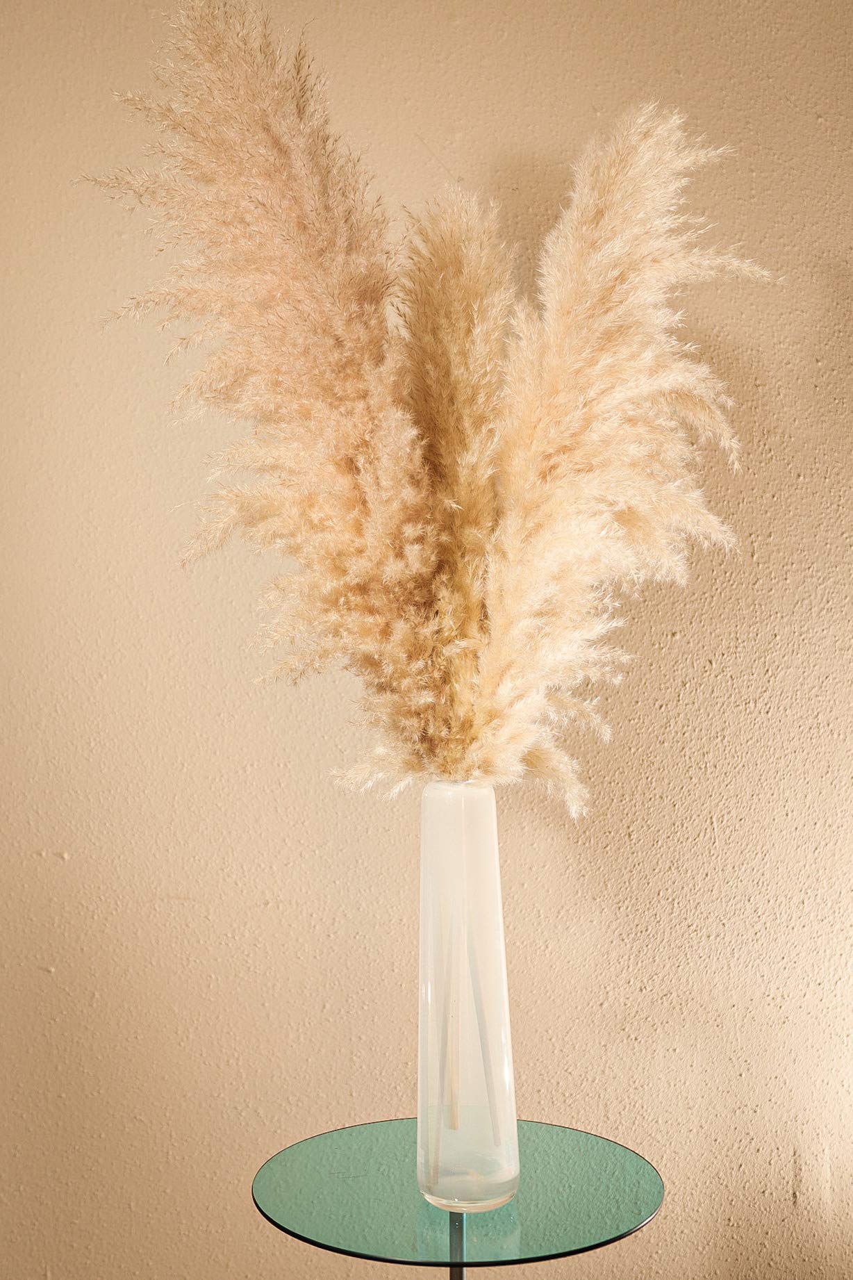 Fluffy　パンパスグラス Amazon｜ふわふわホワイト10ps天然パンパス草の装飾、48インチ