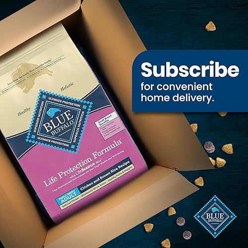 Miniatura 11 de Blue Buffalo Life Protection Formula Alimento Seco para Perros Adultos de Raza Pequeña, Apoya las Altas Necesidades de Energía, Hecho