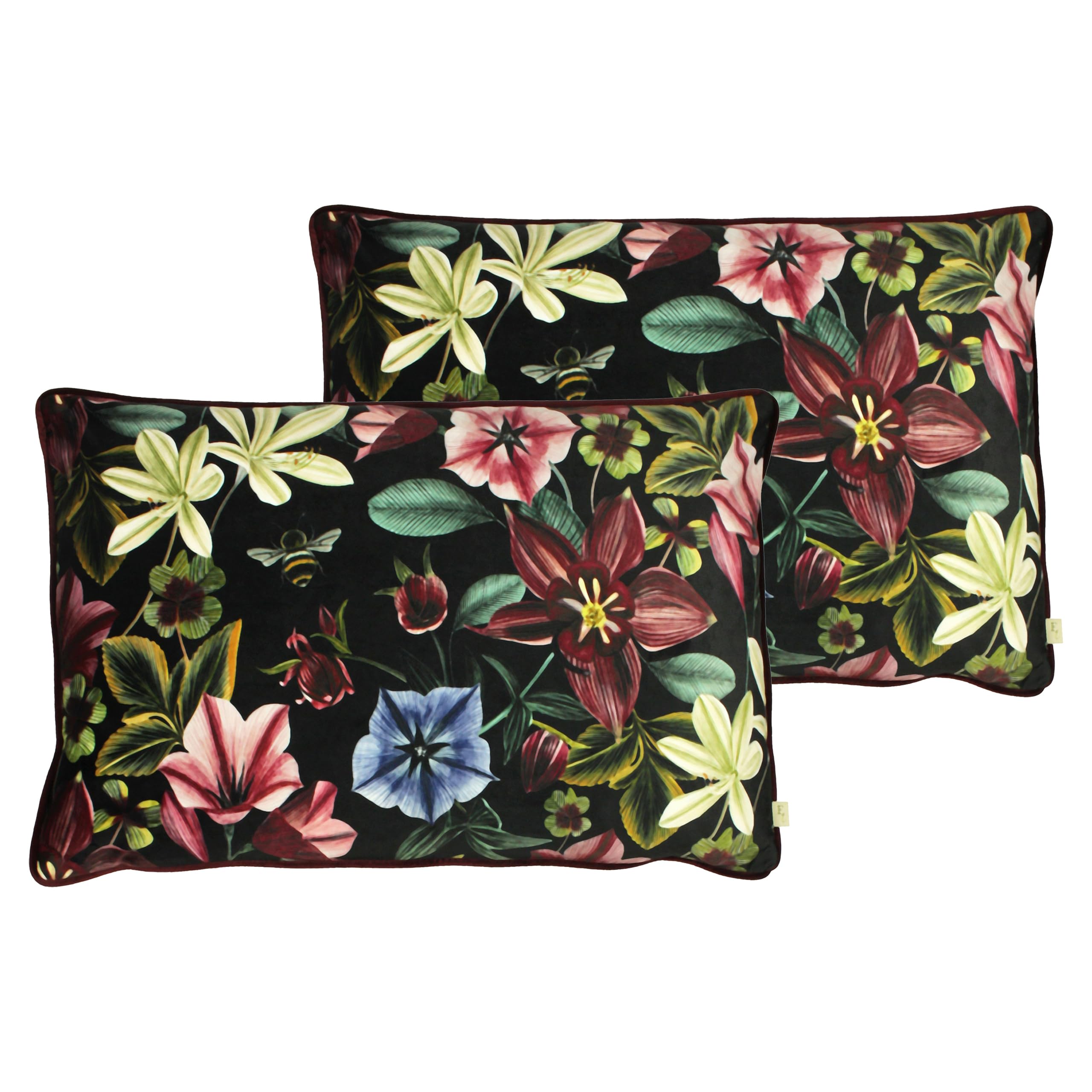 Evans Lichfield Midnight Garden Feather Filled Cushions Twin Pack, Shiraz, 40 x 60cm