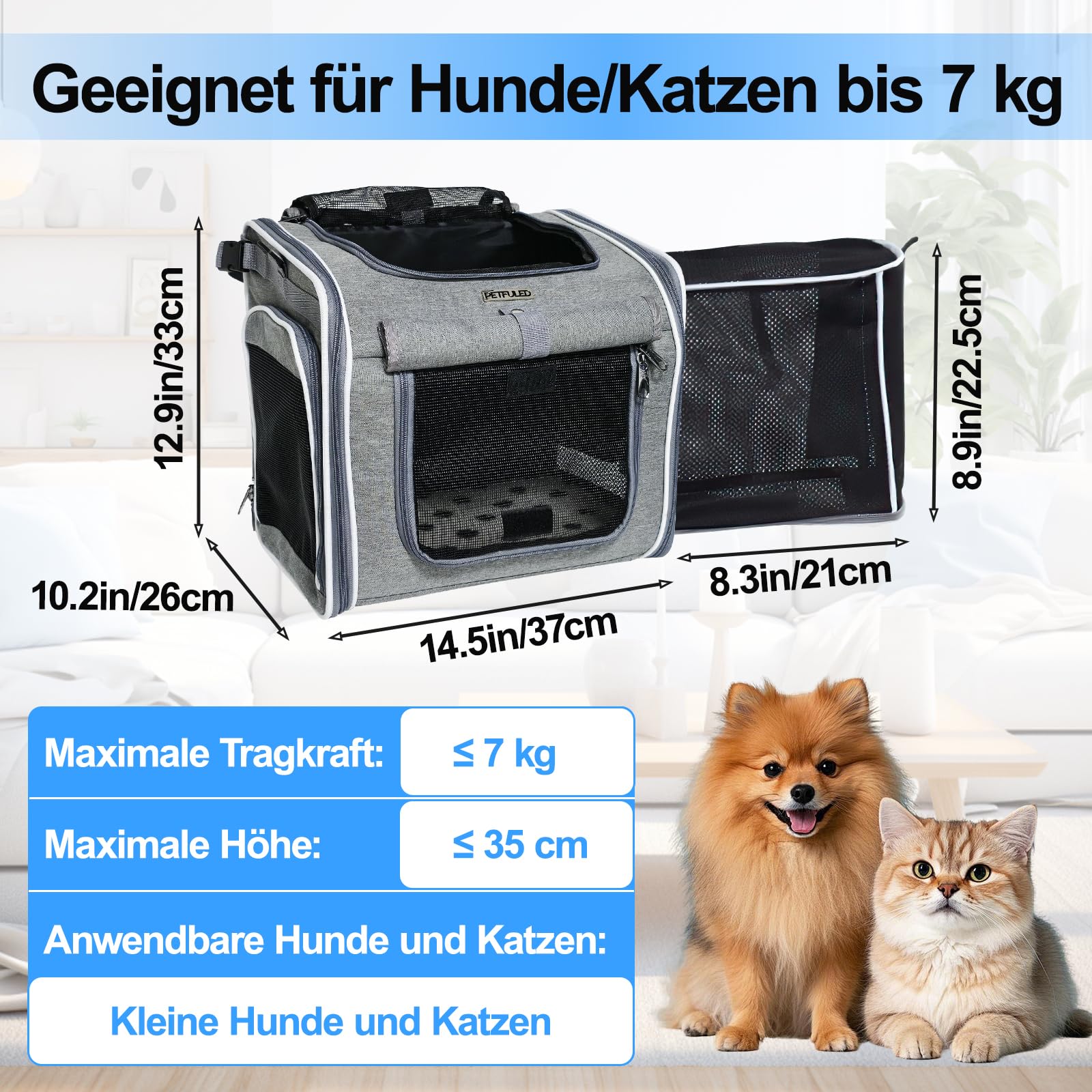 Cesta para perros para bicicleta, plegable, para perros pequeños