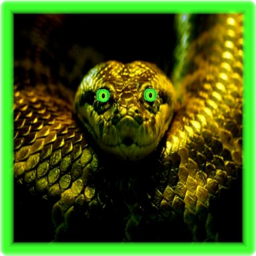 Anaconda Puzzle Game