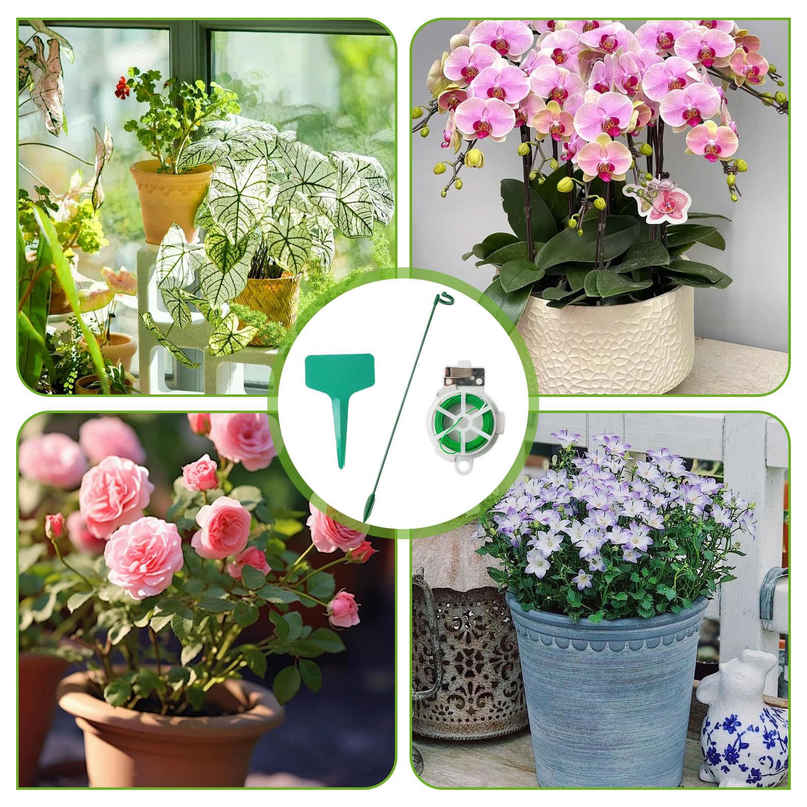 15 sztuk podpórki do roślin, 27 cm, podpora dla roślin doniczkowych, ochrona roślin przed nachyleniem do phalaenopsis, hortensji, piwonii