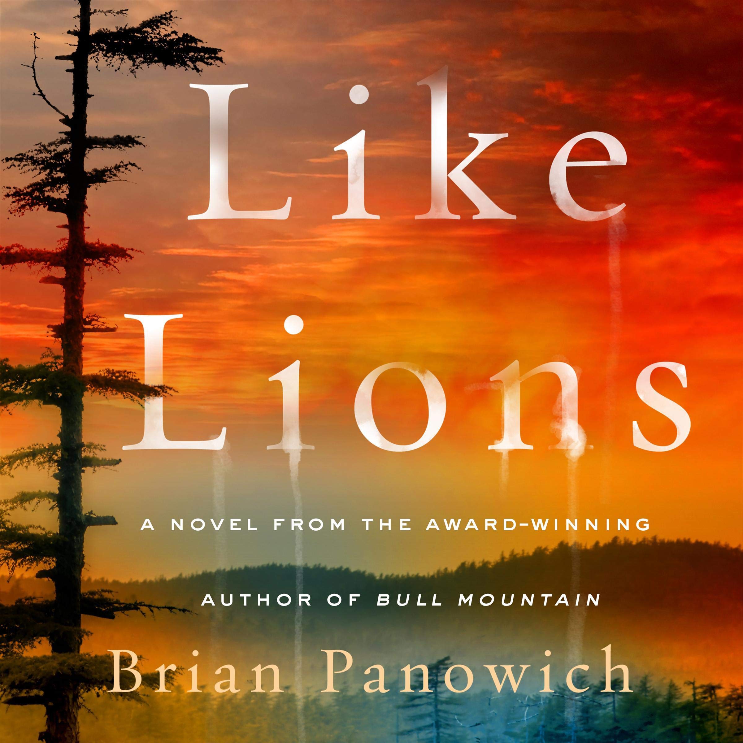Cover art for Like Lions