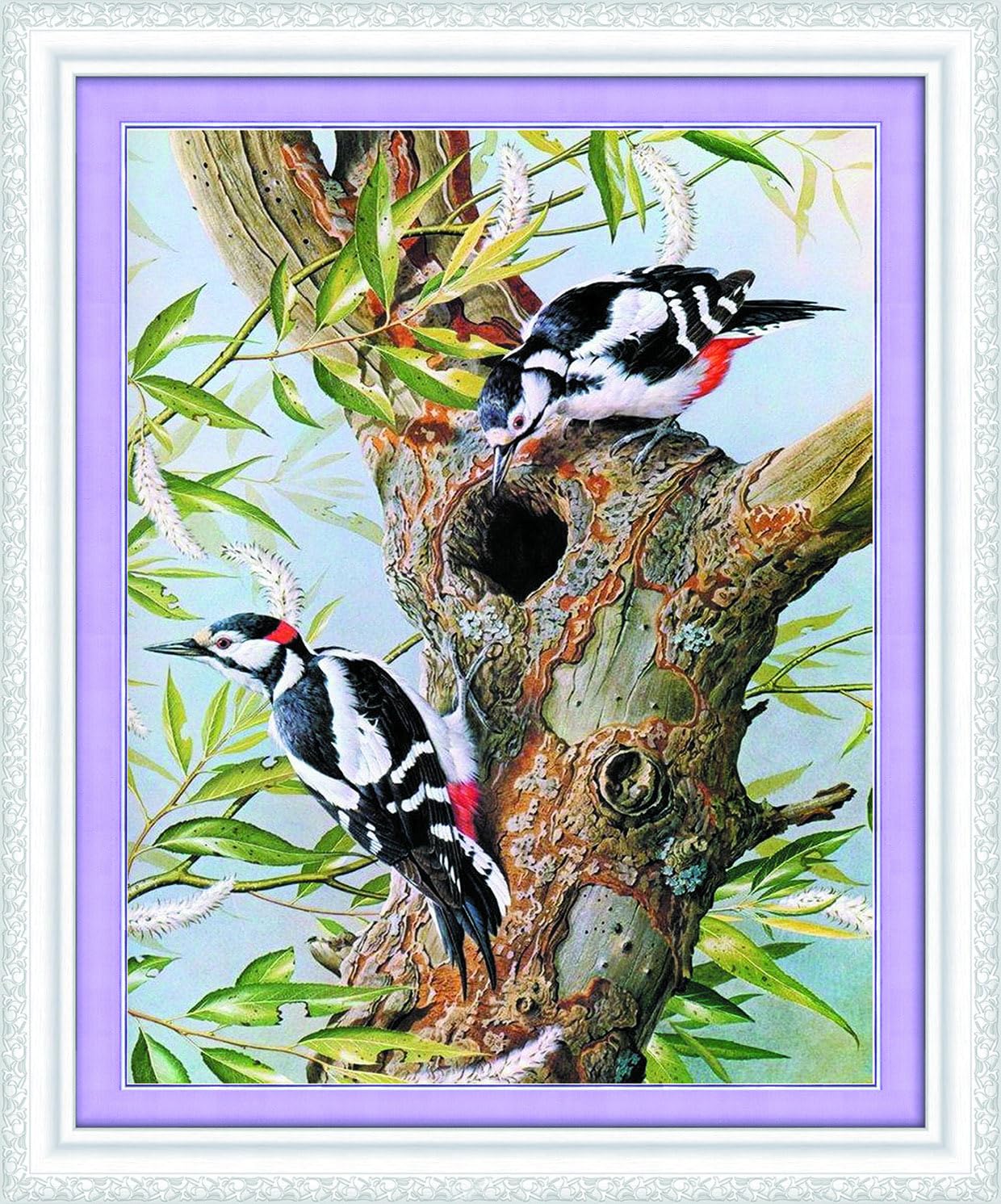 Gofission 11ct Stamped Cross Stitch Kits for Adults Beginners, Animals Two Woodpeckers DIY Pre Printed Cross Stitch Embroidery Set with Accessories Wall Decor 36x46cm (Woodpeckers)