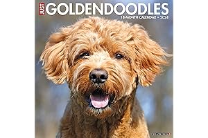 Just Goldendoodles 2024 Calendar