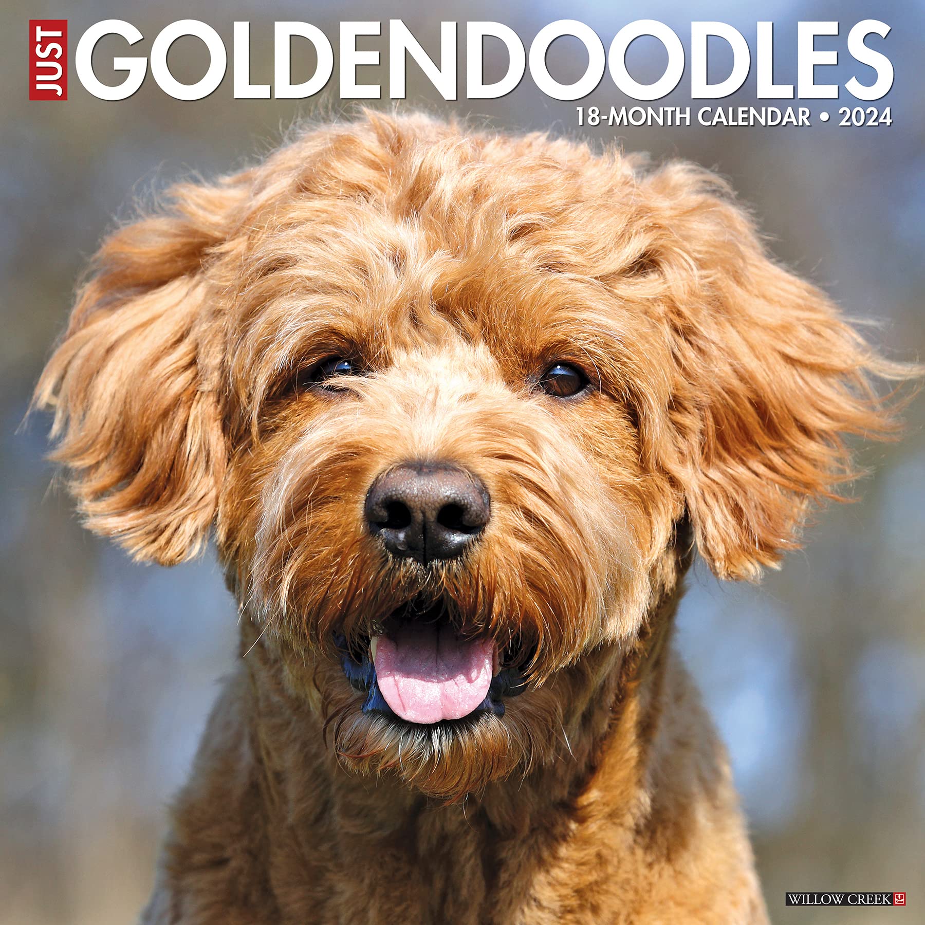 Amazon.com: Willow Creek Press Goldendoodles Monthly 2024 Wall Calendar  (12" x 12") : Willow Creek Press: Office Products
