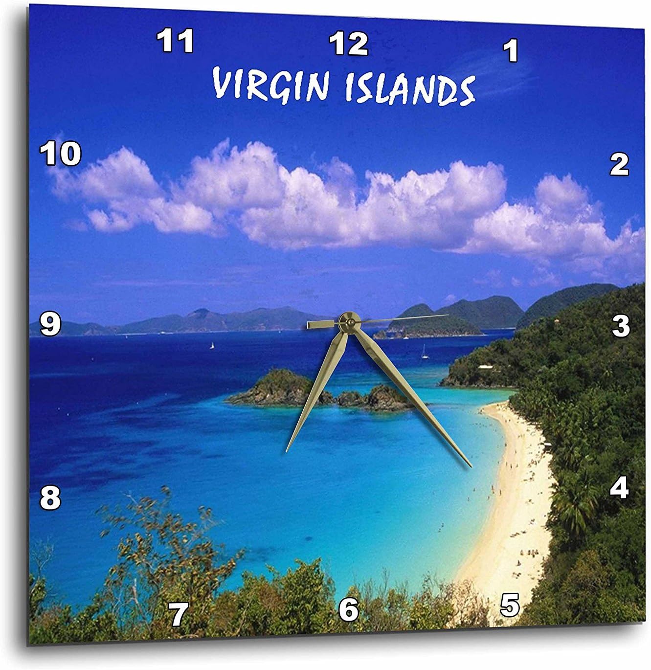 3dRose DPP_80881_1 Trunk Bay Virgin Islands Wall Clock, 10 by 10-Inch