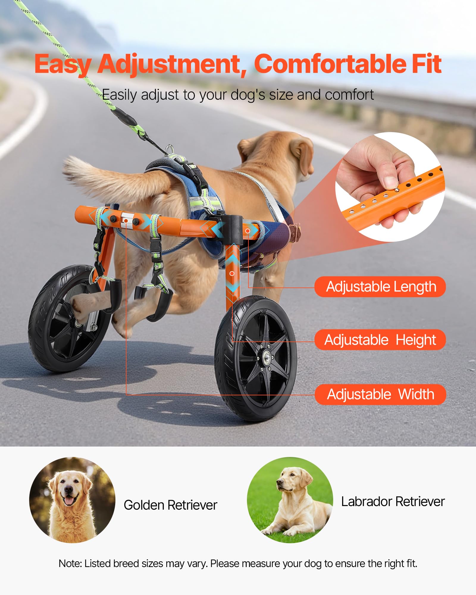 VEVOR Fauteuil Roulant pour Chien Pattes Arrières 2 Roues Chariot pour Chien Léger pour Chiens Blessés et Handicapés 15,88-21,77 kg, Réglable en Hauteur Largeur Longueur, Roues Amortissantes, Taille M