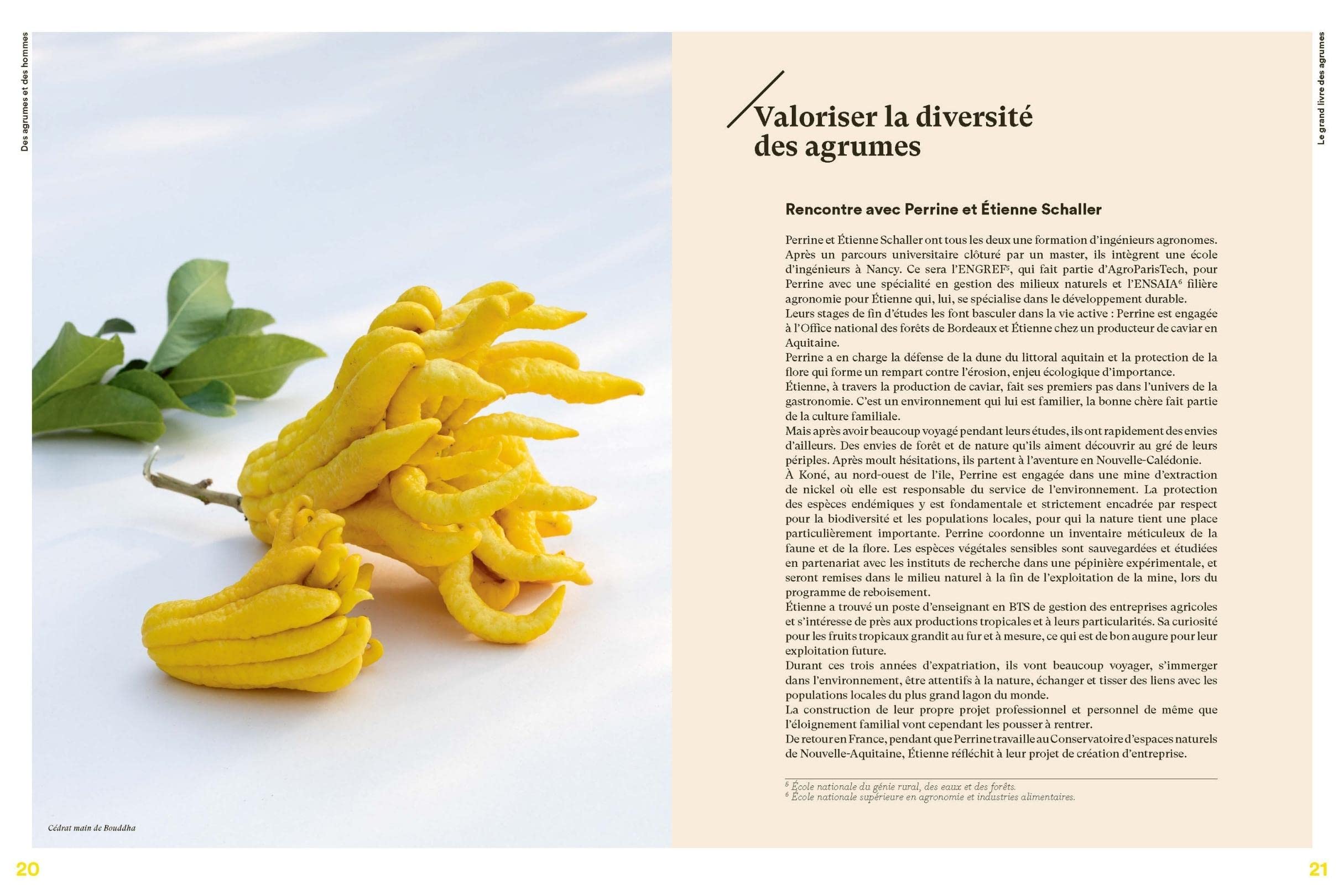 Le Grand livre des agrumes: Fruits - Techniques - Recettes - Conseils