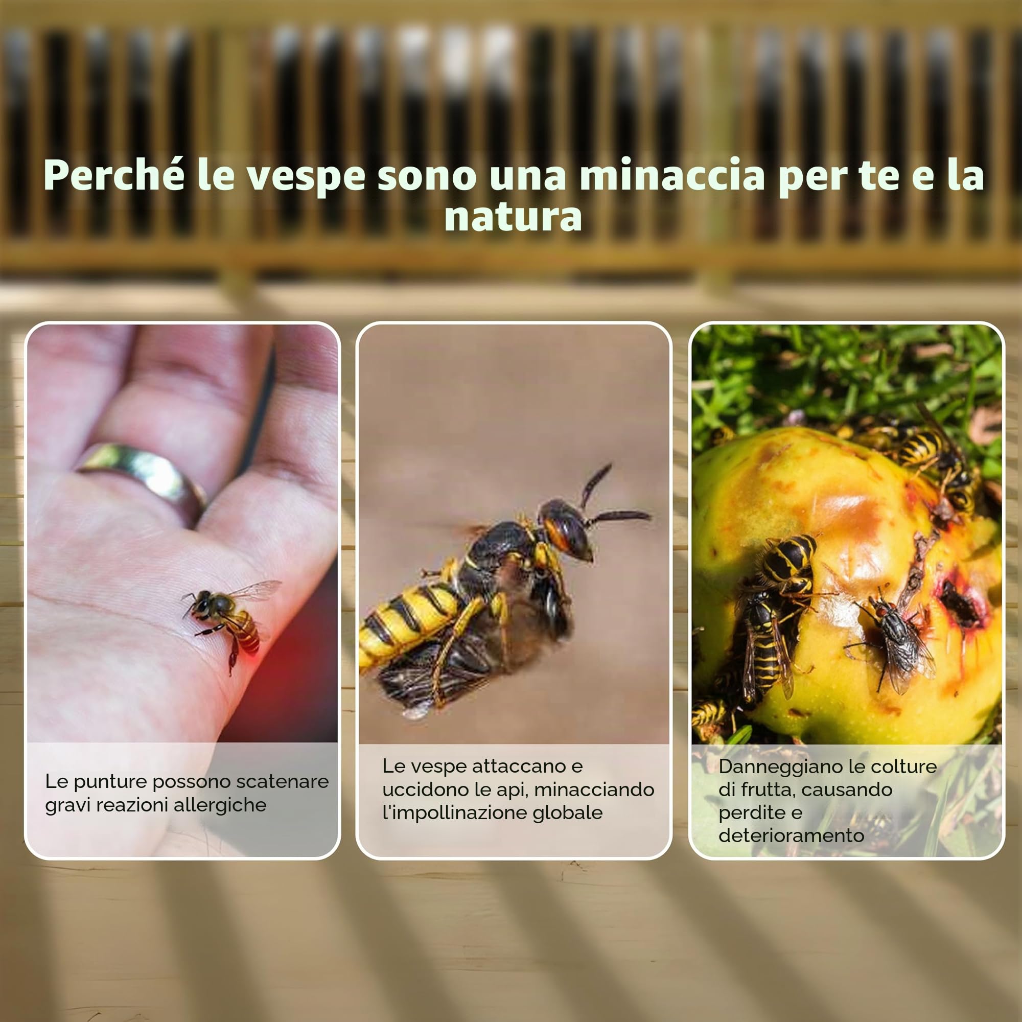 ASPECTEK Trappola per Vespe e Calabroni (2 Pezzi) – Trappola Selettiva da Esterno con Design Salva Api – Riutilizzabile per Giardino, Patio e Casa
