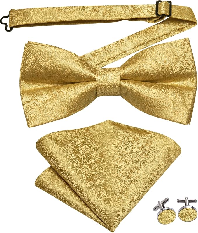 Conjunto de Corbata de Lazo Preanudada Paisley Rayada para Hombre miniatura 4