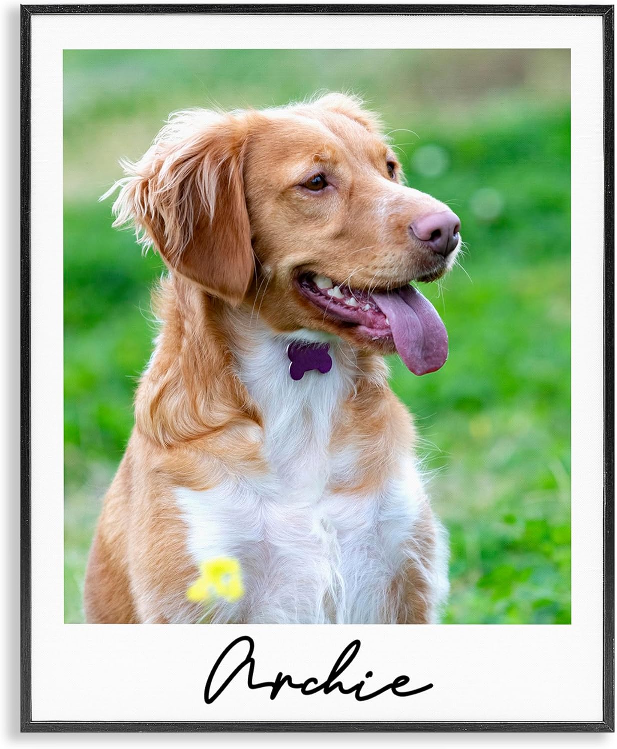 Stupell Industries Pet Custom Print Template with Personalized Text Black Giclee Framed Wall Art