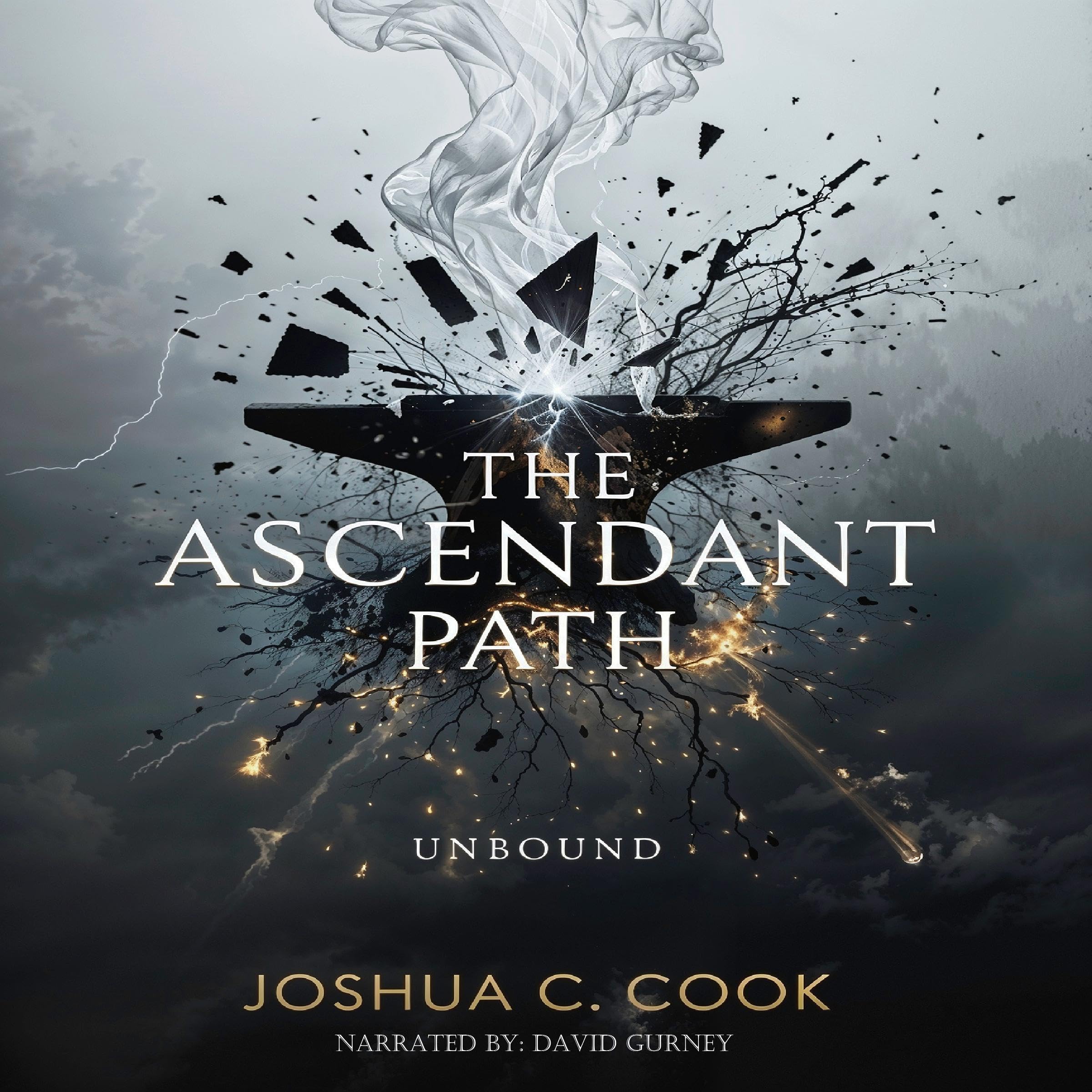 Cover art for Unbound: The Ascendant Path, Book Five
