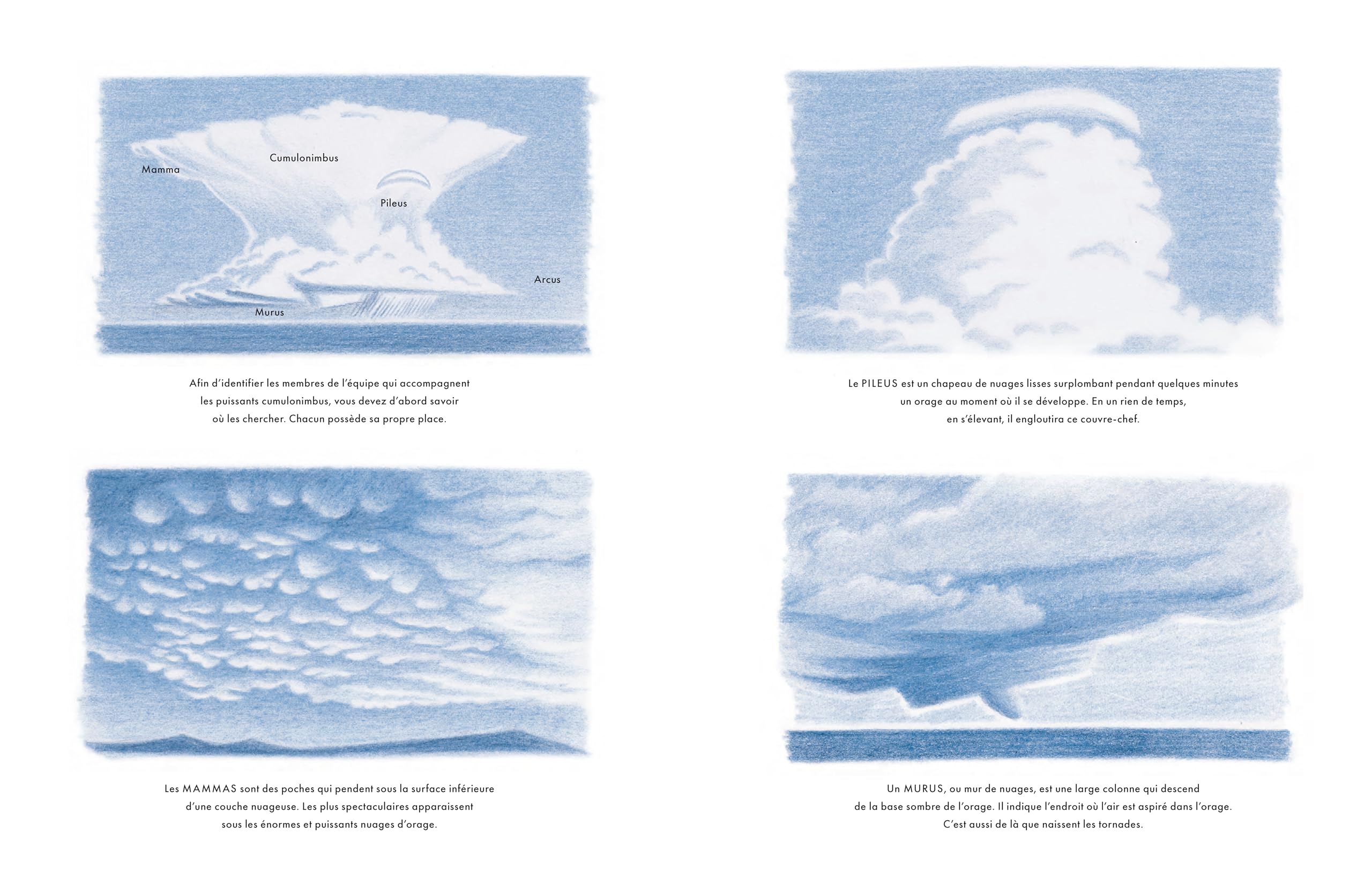 Dans les nuages: Avez-vous déjà vu naître un nuage ?